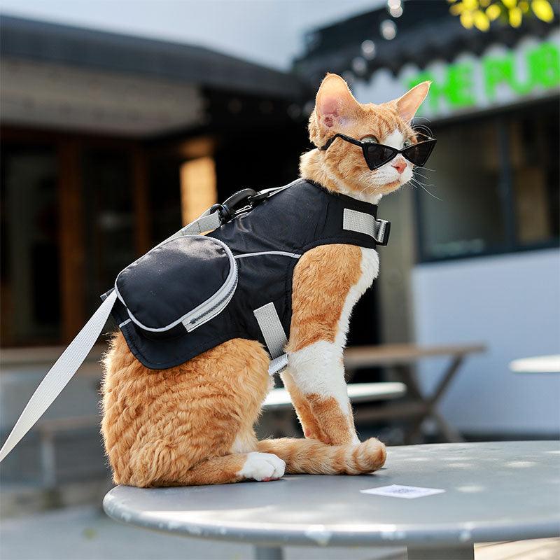 Cowboy Hairless Cat Clothes Hat Sphynx Leash - MEWCATS