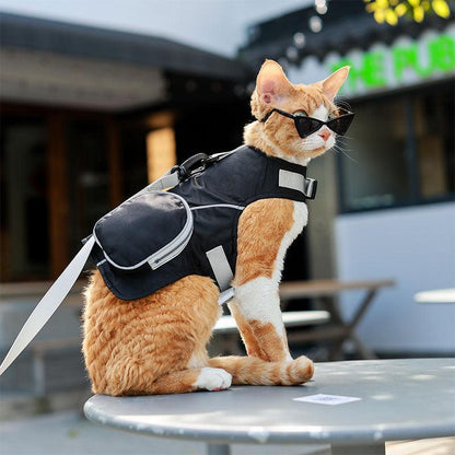 Cowboy Hairless Cat Clothes Hat Sphynx Leash - MEWCATS