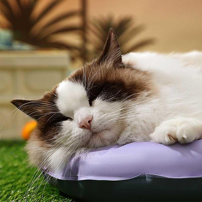 Cute Bear Summer Cooling Cat Bed Blue Pet Mat