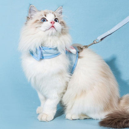 Cute Cat Harness With Wings Leash Set Large Cat Lead