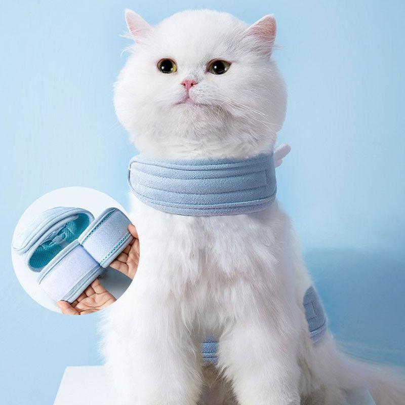 Cute Cat Harness With Wings Leash Set Large Cat Lead