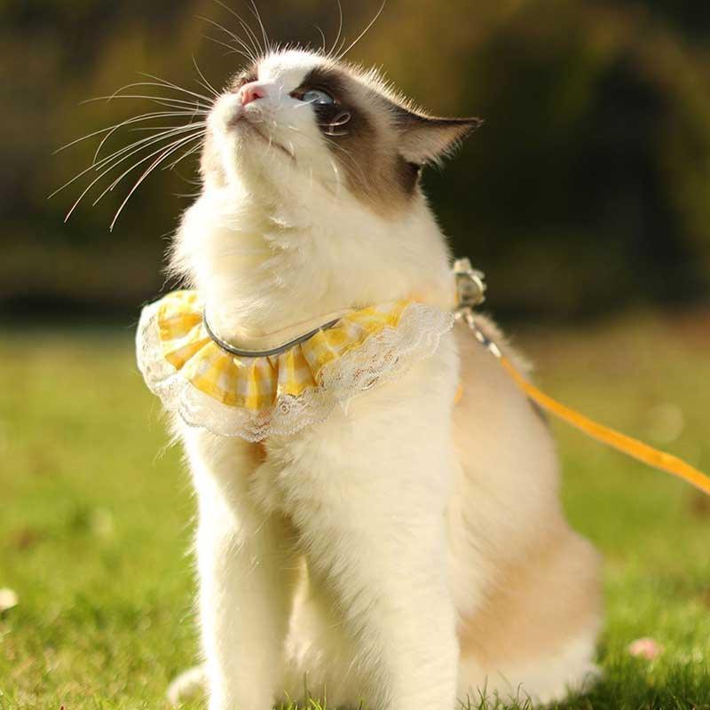 Cute Lace Cat Leash 2 Color Harness Escape Proof