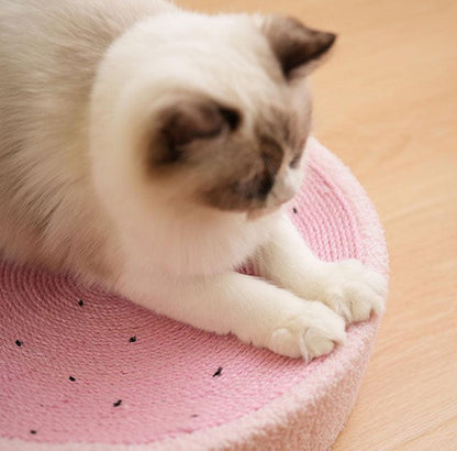 Cute Pig Cat Bed Round Scratching Pad - MEWCATS