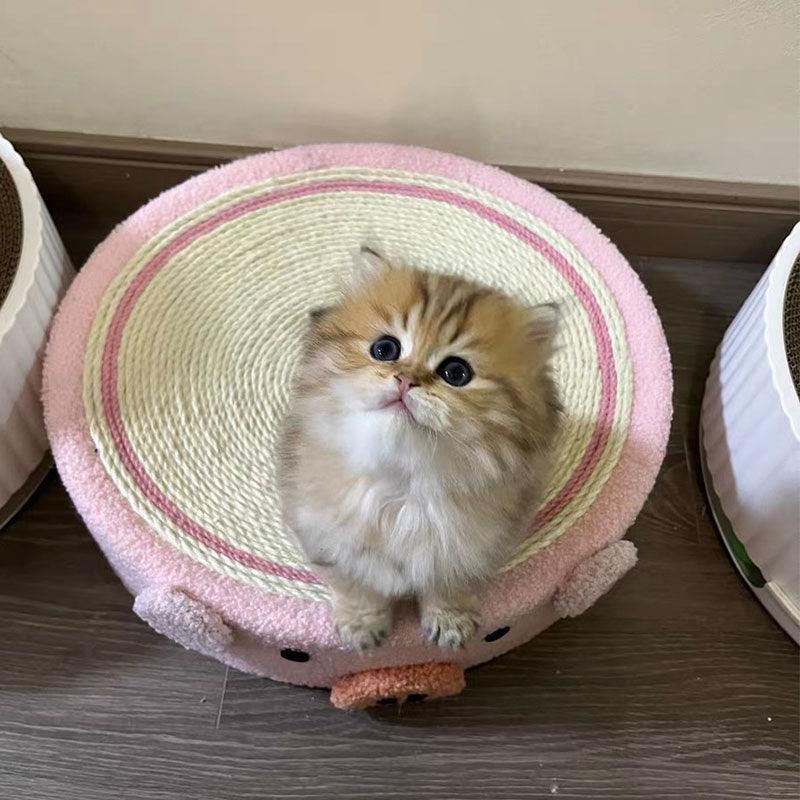 Cute Pig Cat Bed Round Scratching Pad - MEWCATS