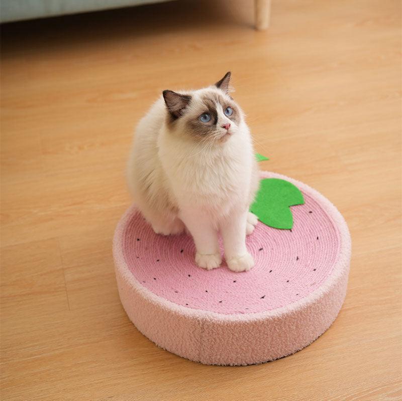 Cute Pig Cat Bed Round Scratching Pad - MEWCATS