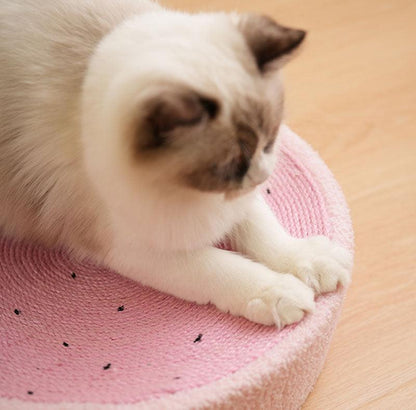 Cute Pig Cat Bed Round Scratching Pad Grinding Claws Pet Nest