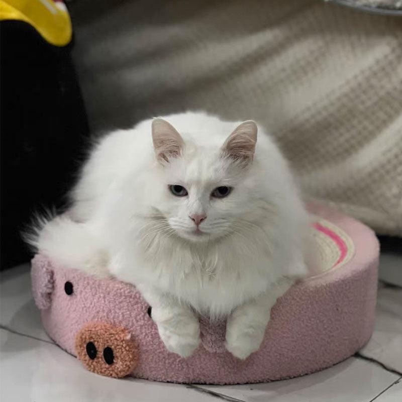 Cute Pig Cat Bed Round Scratching Pad - MEWCATS