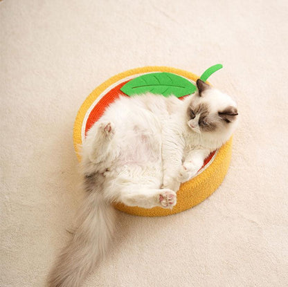 Cute Pig Cat Bed Round Scratching Pad - MEWCATS