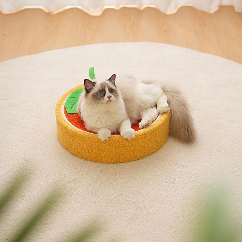 Cute Pig Cat Bed Round Scratching Pad - MEWCATS