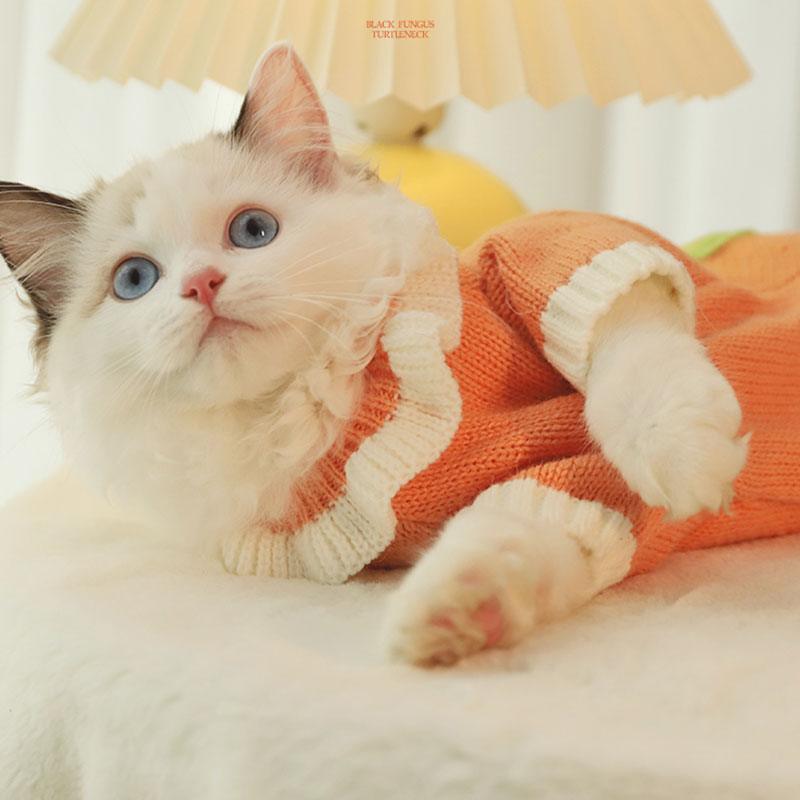 Flower Cat Clothes 2 Color Winter Warm Sweater