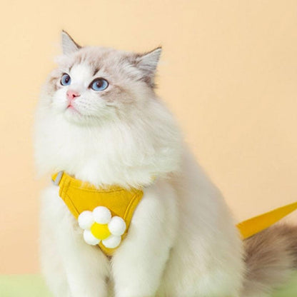 Outdoor Cat Harness 3 Color Cute Travel Leash Set