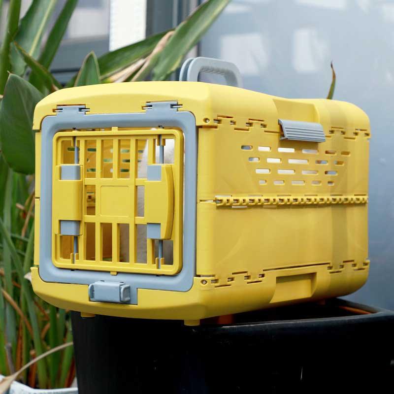 Foldable Portable 2 Color Cat Yellow Carrying Case Box