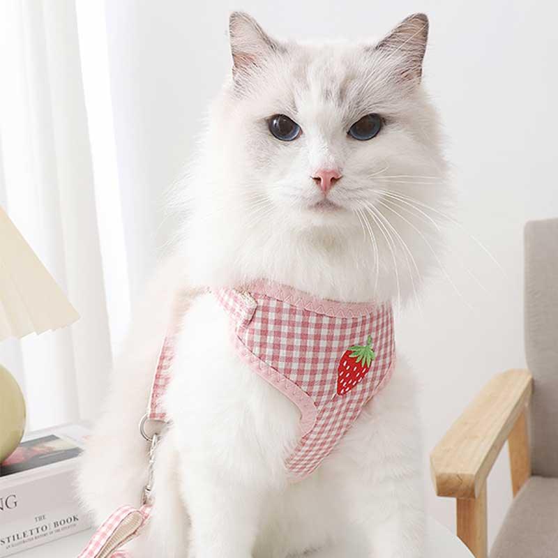 Cat Harness Fruit Embroidery 3 Color Vest Leash Set