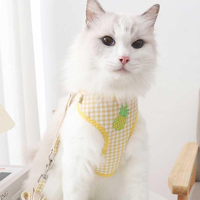 Cat Harness Fruit Embroidery 3 Color Vest Leash Set