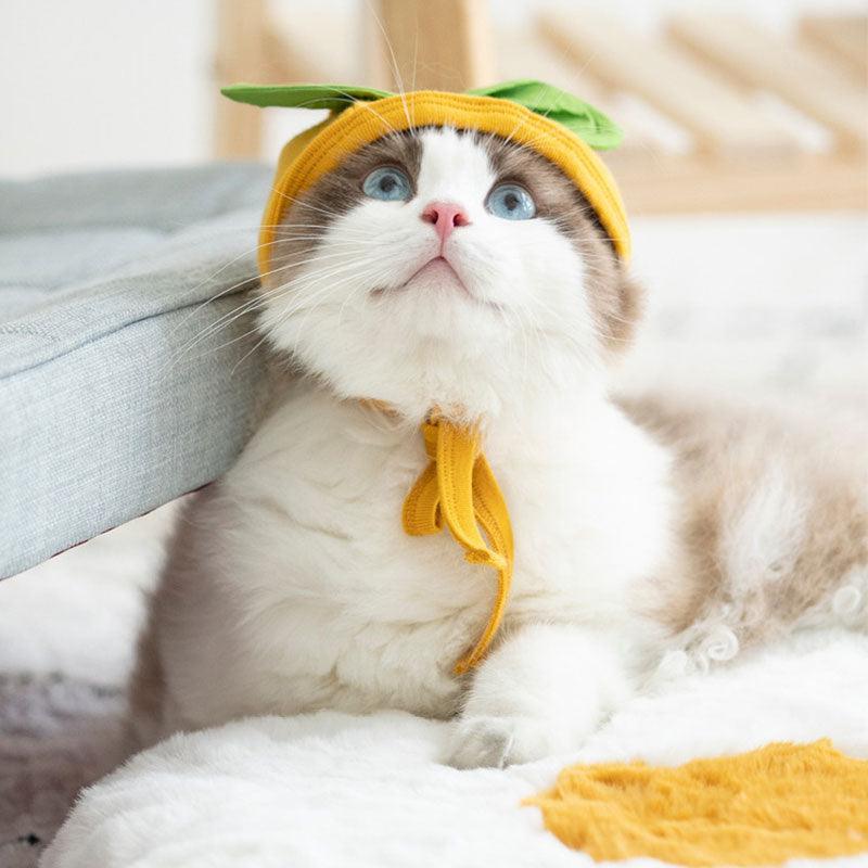 Fruit Print Funny Cat Clothes Hat 2 Color