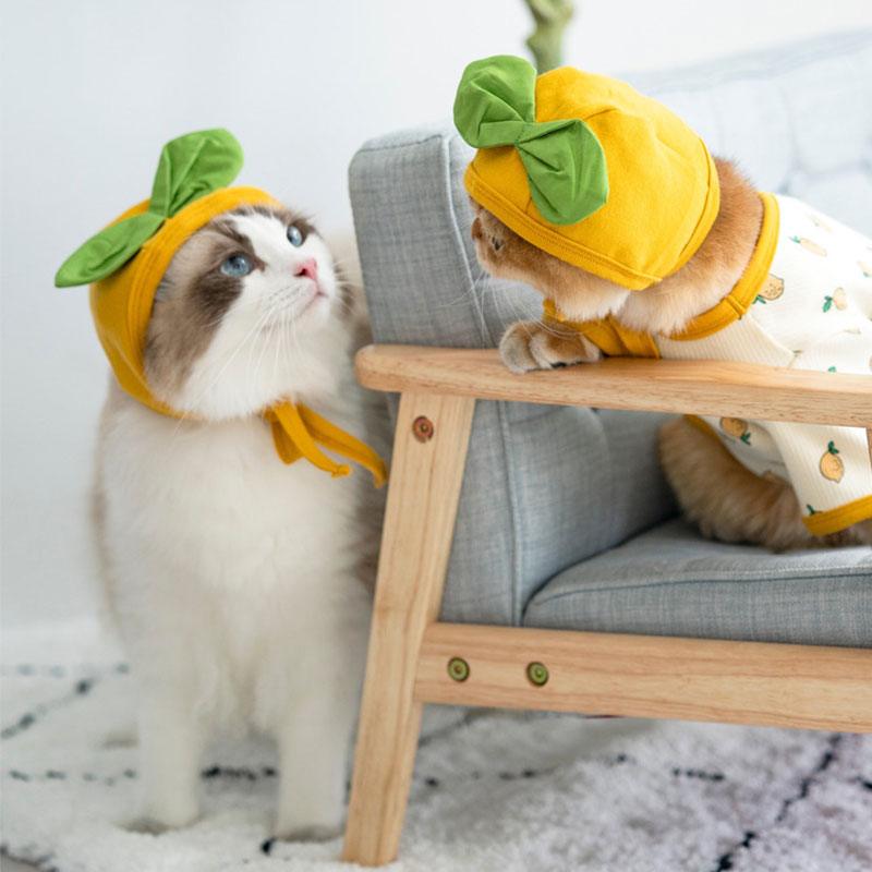Fruit Print Funny Cat Clothes Hat 2 Color