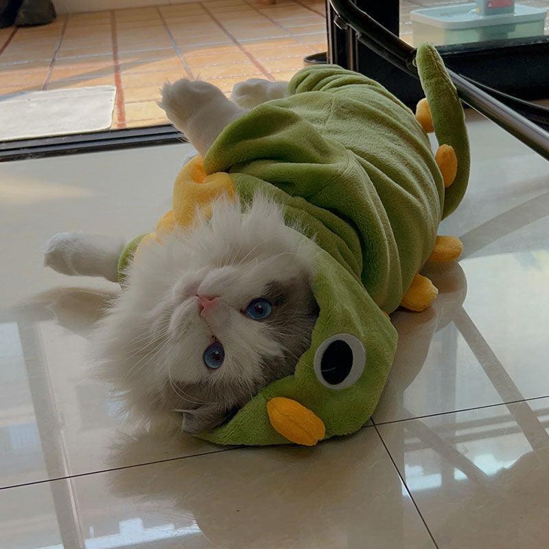Funny Warm Cat Dinosaur Clothes 2 Style - MEWCATS