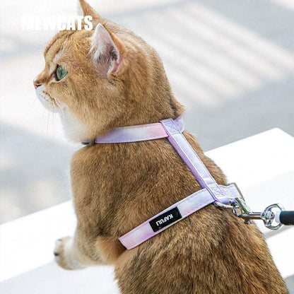 Gradient Cat Leash Set Harness 3 Color H-Style Cat Lead - MEWCATS