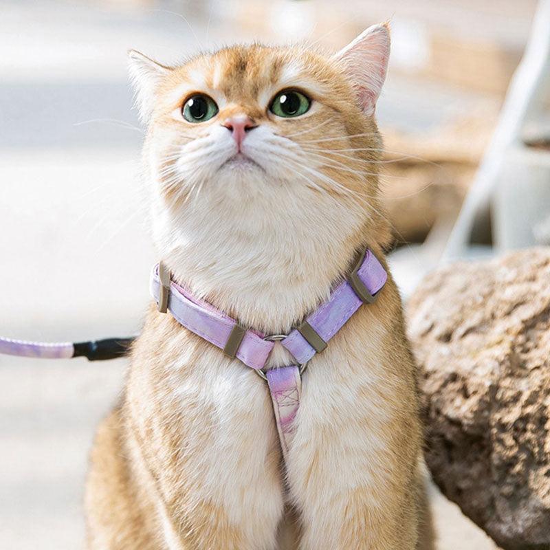 Cat Leash Set Harness Gradient Adjustable H-Style