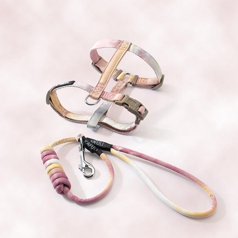 Cat Leash Set Harness Gradient Adjustable H-Style Cat Lead