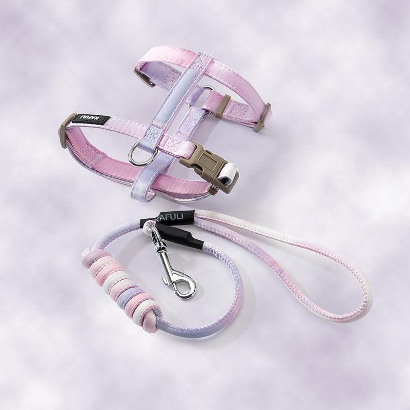 Cat Leash Set Harness Gradient Adjustable H-Style Cat Lead