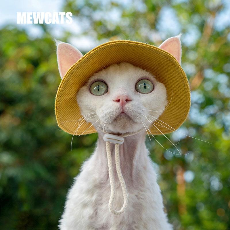 Hairless Cat Clothes Devon 16 Color Sunscreen Sun Hat