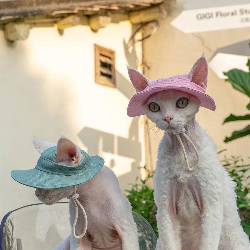 Hairless Cat Clothes Devon 16 Color Sunscreen Sun Hat