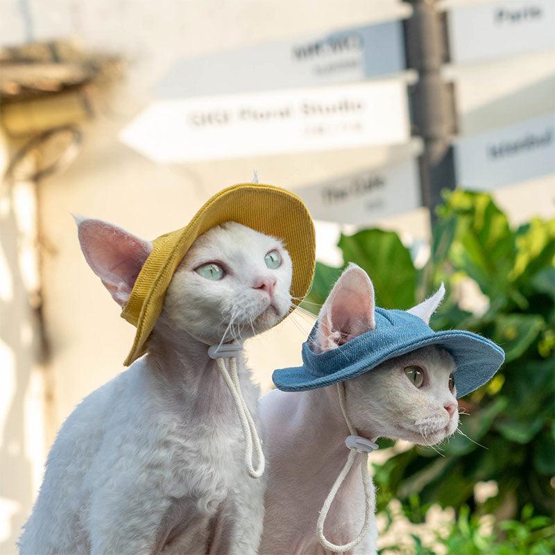 Hairless Cat Clothes Devon 16 Color Sunscreen Sun Hat