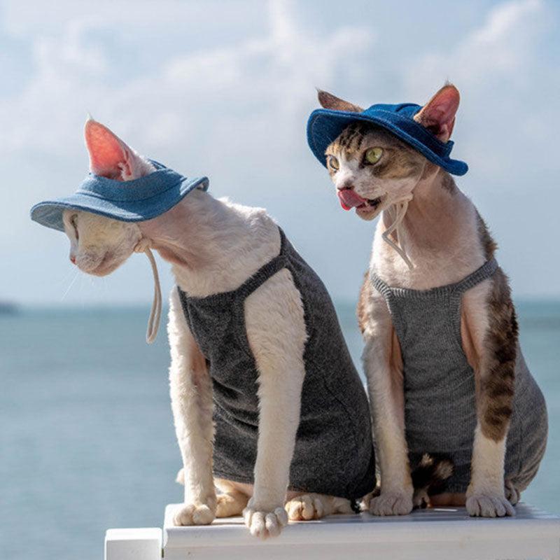 Hairless Cat Clothes Devon 16 Color Sunscreen Sun Hat
