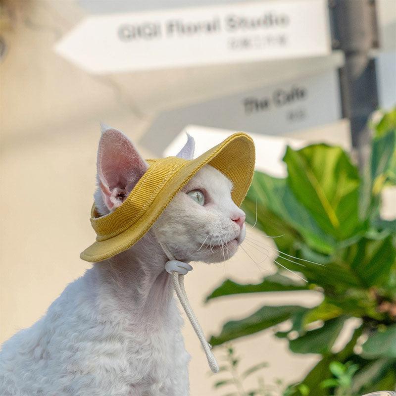 Hairless Cat Clothes Devon 16 Color Sunscreen Sun Hat