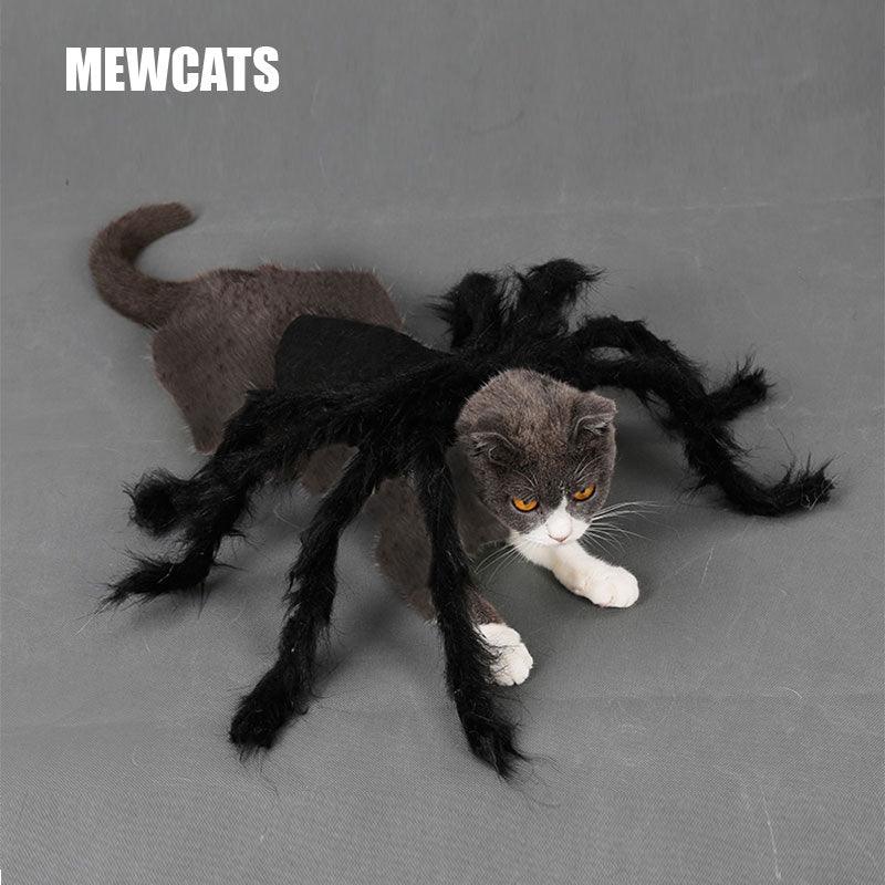Halloween Cat Spider Costume Cosplay Party Plush Black Spider