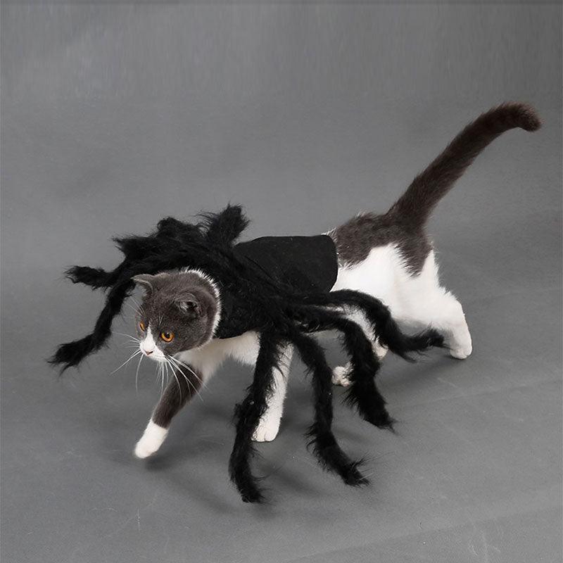 Halloween Cat Spider Costume Cosplay Party Plush Black Spider