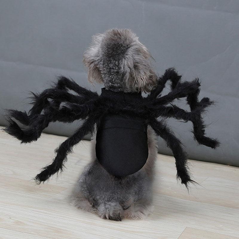 Halloween Cat Spider Costume Cosplay Party Plush Black Spider