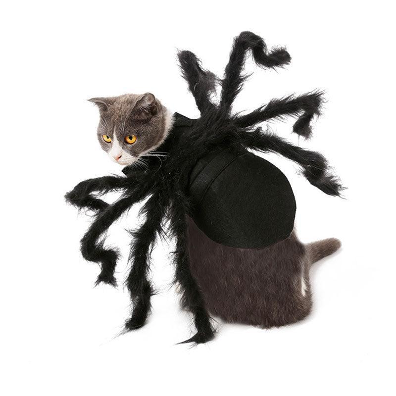 Halloween Cat Spider Costume Cosplay Party Plush Black Spider