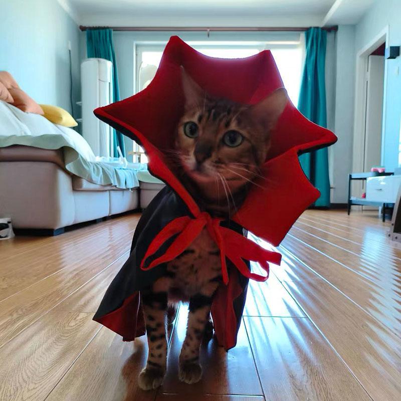 Halloween Cat Cape Costumes Cosplay Vampire Cloak - MEWCATS