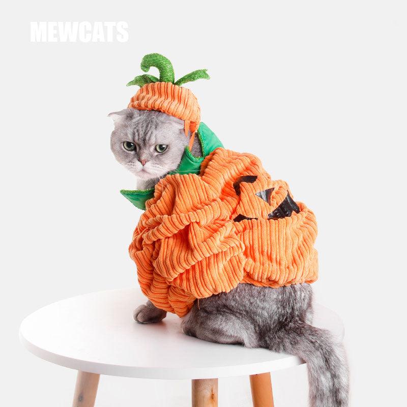 Halloween Cat Dog Hat Clothes Pumpkin Set