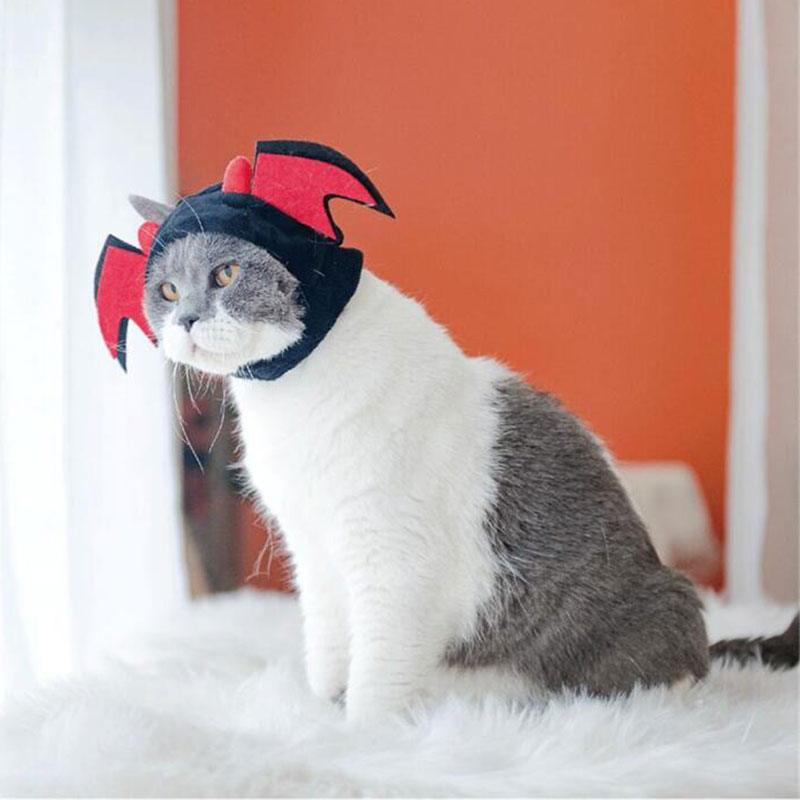 Halloween Cat Headgear Cartoon Party 2 Style Pet Hat