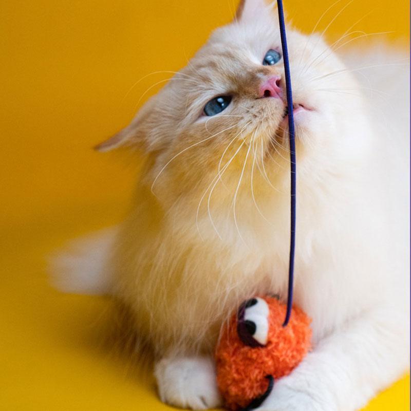 Halloween Cat Sound Toys Teaser Cat Stick