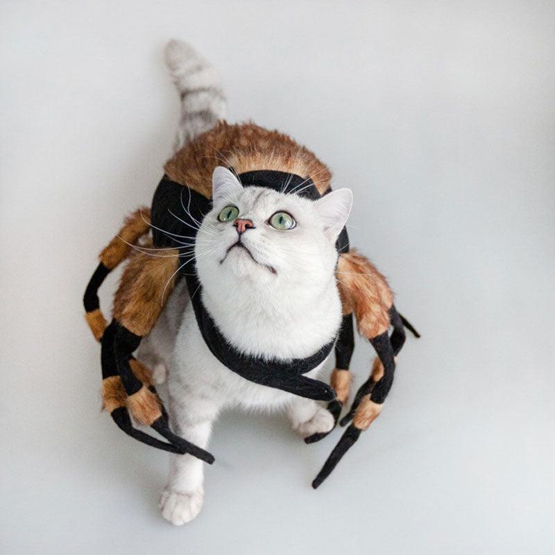 Halloween Cat Spider Clothes Party Costumes Props Accessories
