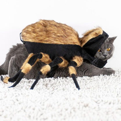 Halloween Cat Spider Clothes Party Costumes Props Accessories