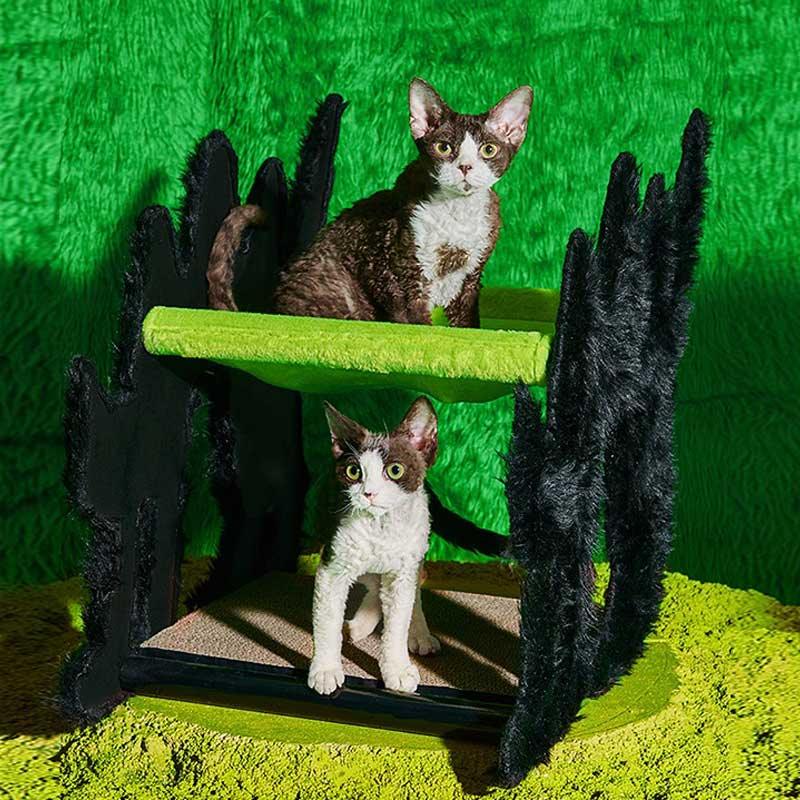 Halloween Boom Cat Double Hammock Green Scratching Board