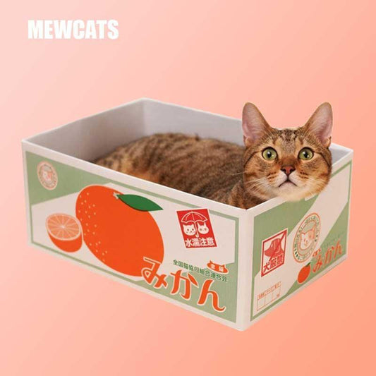 Japanese Cat Scratching Board Included Carton Cat Bed - MEWCATS