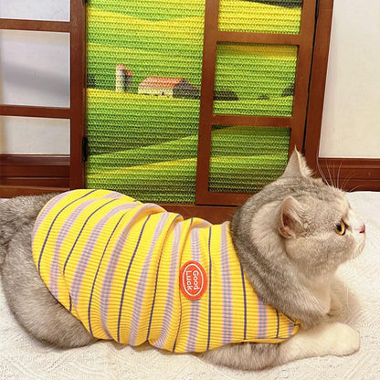 JCAT Artistic Window Frame Cat Scratcher - MEWCATS