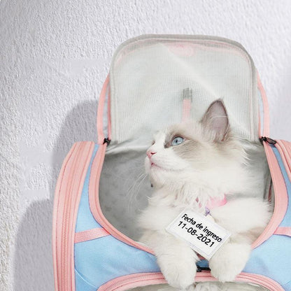 Jelly Cat Carrying Backpack 4 Color Foldable Cat Bag - MEWCATS