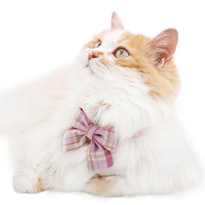 JK Bow Tie Cat Collar Set - MEWCATS