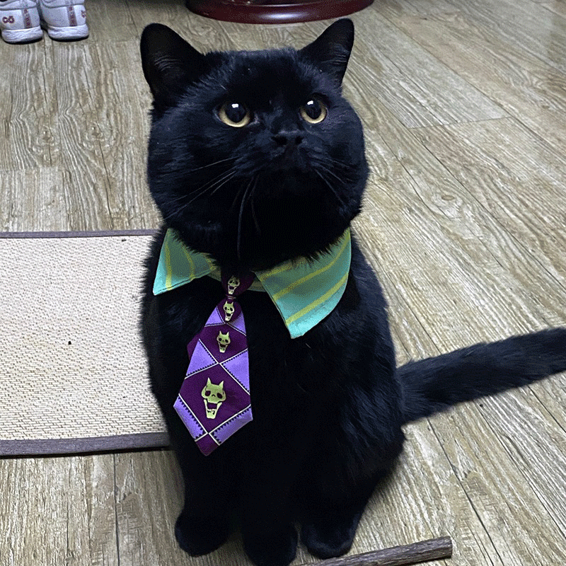 Kira Yoshikage Cat Cosplay Costume Neckties