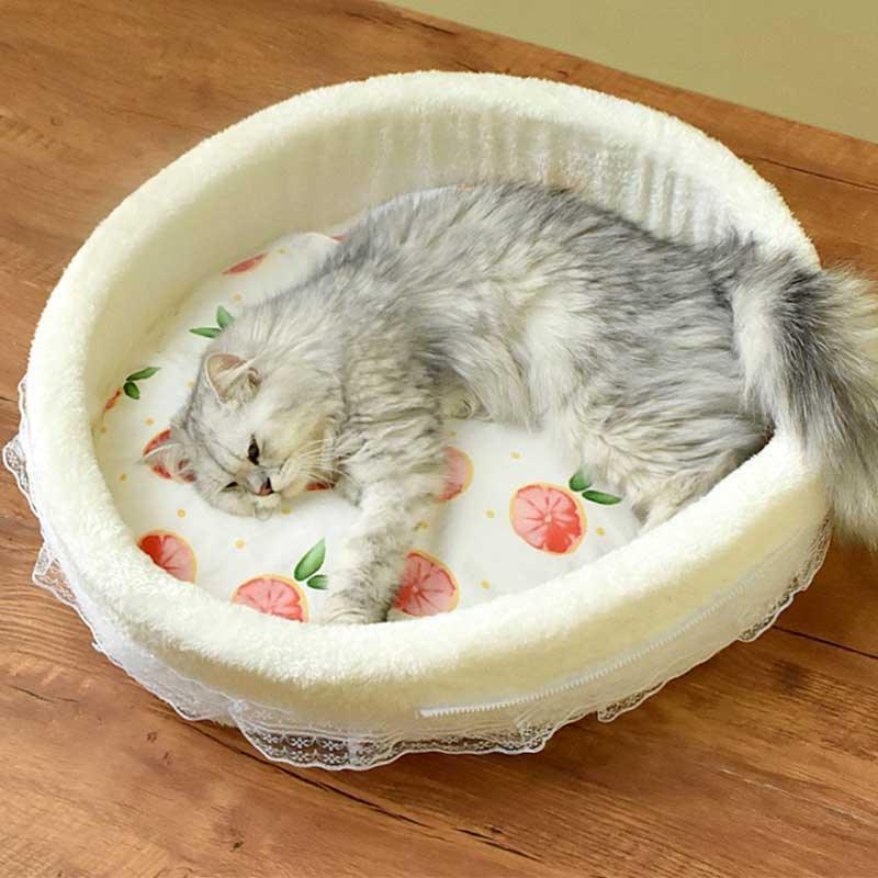 Multifunctional Fruit Cat Litter 2 Colors Removable Cat Bed