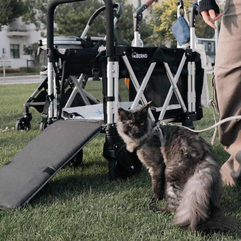 Large Outdoor Cat Carrier with Wheels Stroller - MEWCATS
