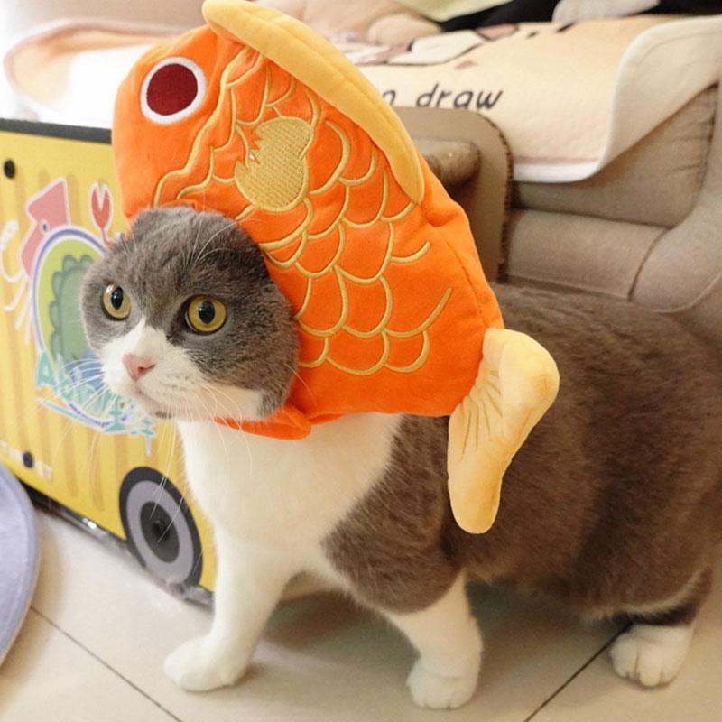 Lucky Fish Cat Hat Cute Head Cover