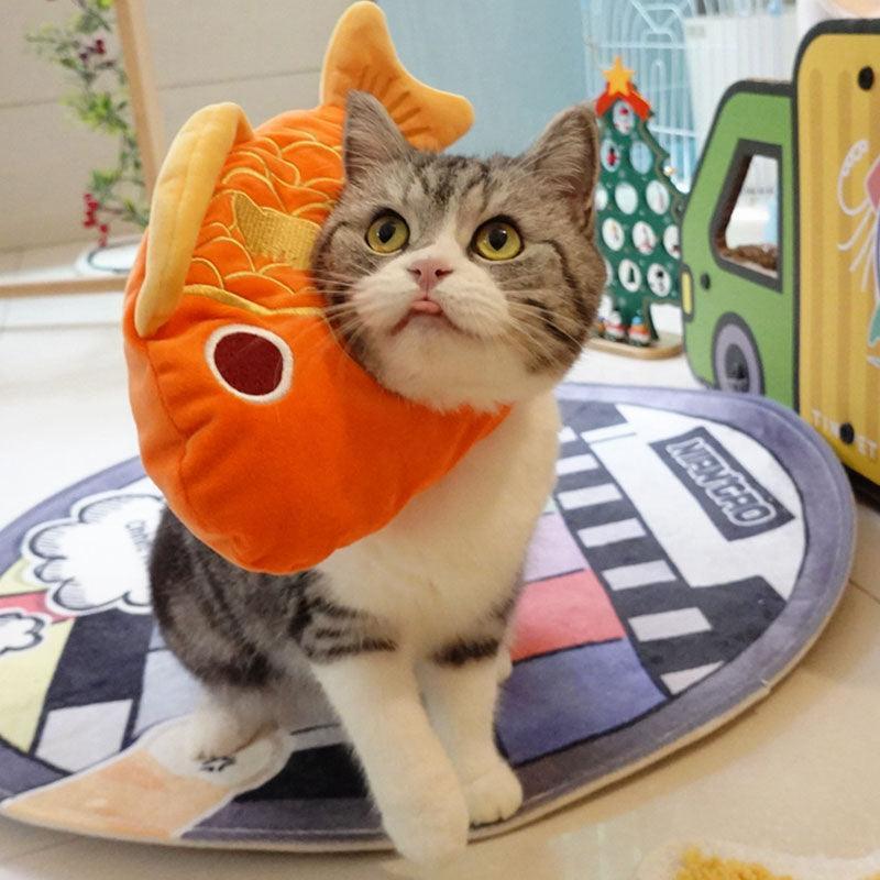 Lucky Fish Cat Hat Cute Head Cover